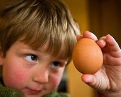 Аллергия на куриный белок у ребенка