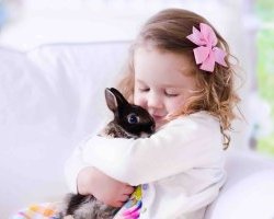 Аллергия на кролика